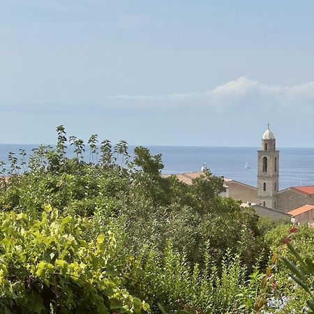 Maison Les Aloes - Vue Mer Et Proche Centre Ville Propriano  Luaran gambar