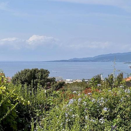 Maison Les Aloes - Vue Mer Et Proche Centre Ville Propriano  Luaran gambar