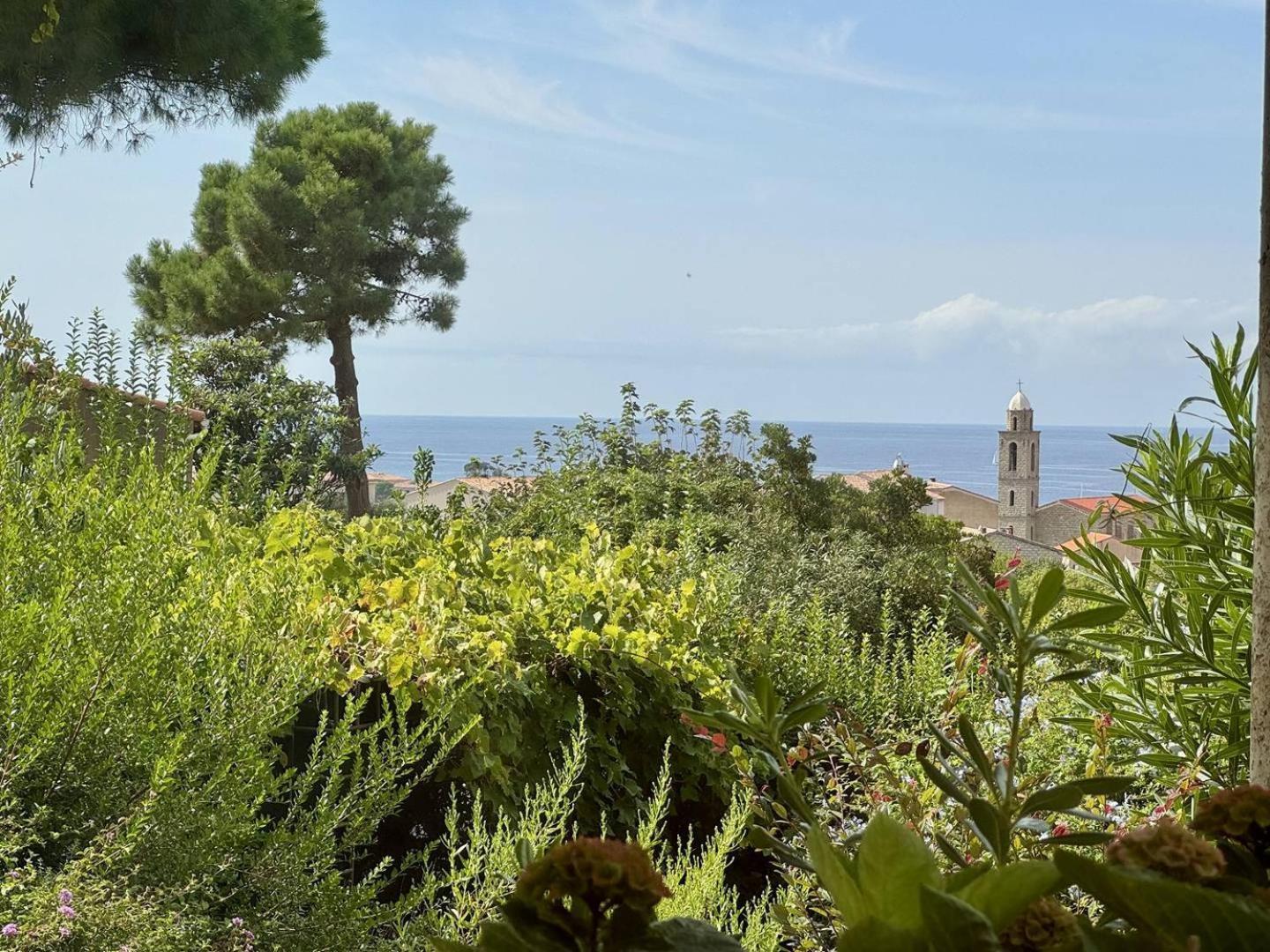 Maison Les Aloes - Vue Mer Et Proche Centre Ville Propriano  Luaran gambar