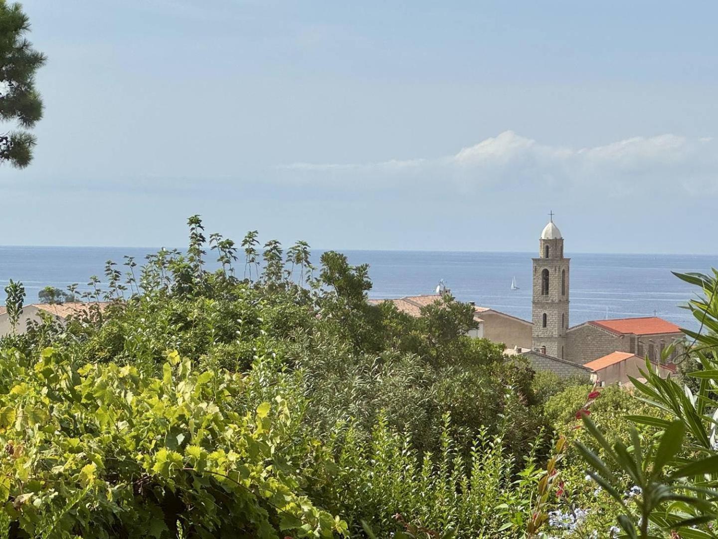 Maison Les Aloes - Vue Mer Et Proche Centre Ville Propriano  Luaran gambar