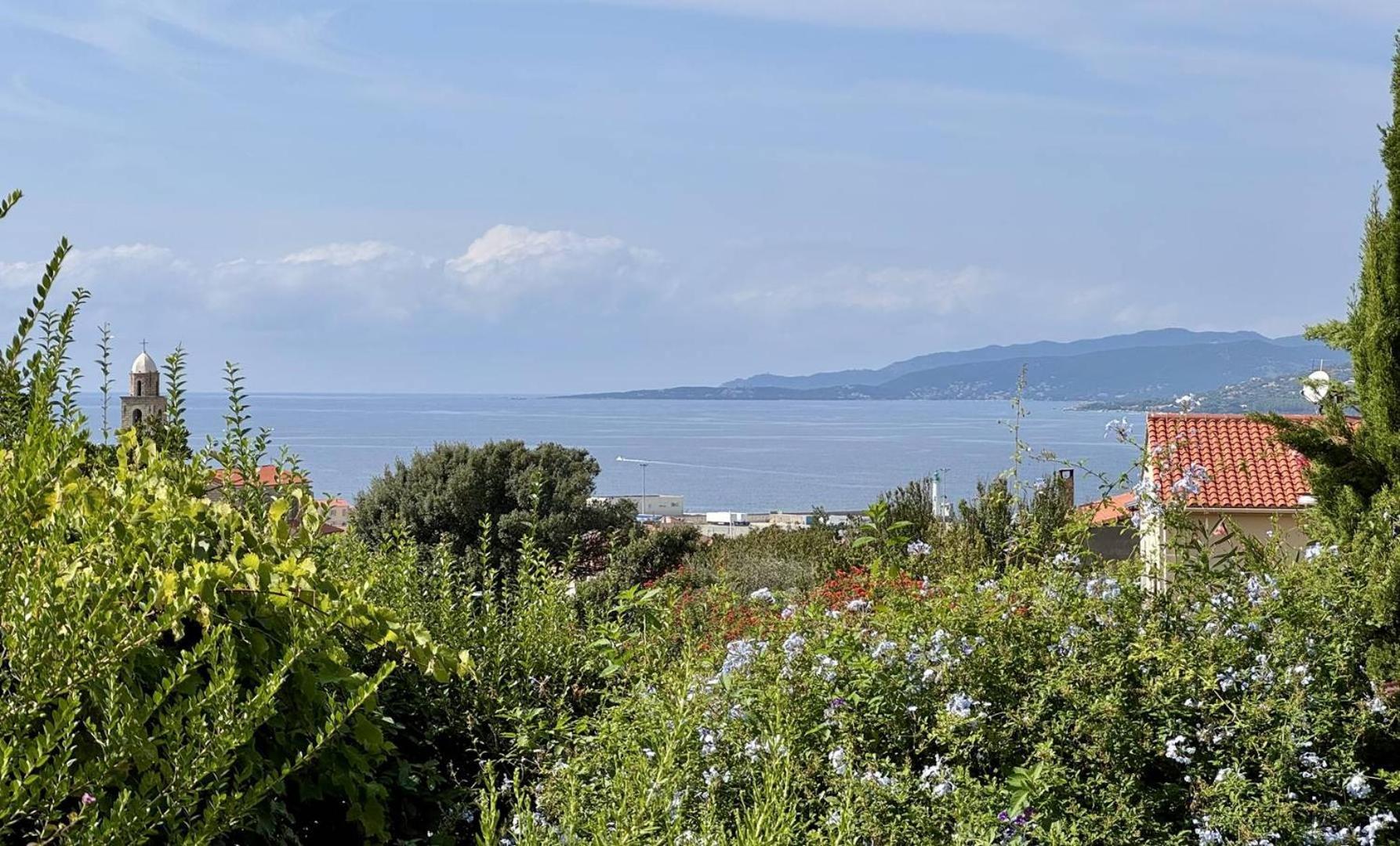 Maison Les Aloes - Vue Mer Et Proche Centre Ville Propriano  Luaran gambar